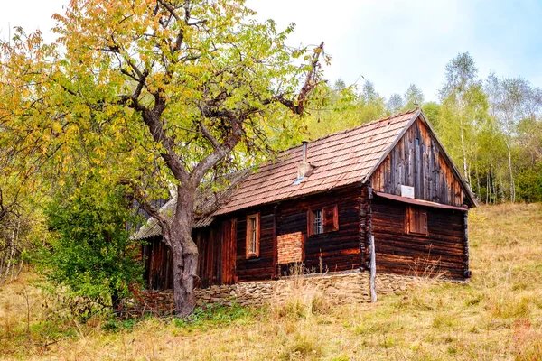 Bunte Herbstlandschaft Den Rumänischen Karpaten Dorf Fantanele Kreis Sibiu Cindrel — Stockfoto