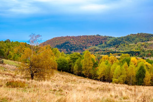 Colorido Paisaje Otoñal Los Cárpatos Rumanos Pueblo Fantanele Condado Sibiu —  Fotos de Stock