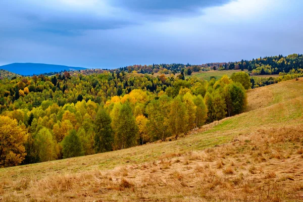 Bunte Herbstlandschaft Den Rumänischen Karpaten Dorf Fantanele Kreis Sibiu Cindrel — Stockfoto