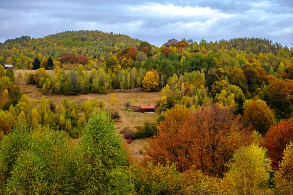 Bunte Herbstlandschaft Den Rumänischen Karpaten Dorf Fantanele Kreis Sibiu Cindrel — Stockfoto