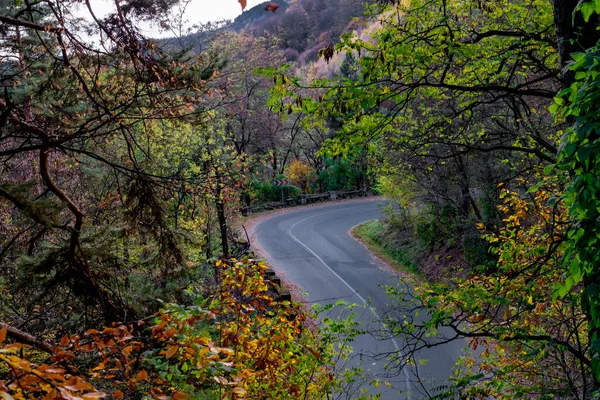 Asphaltstraße Durch Den Herbstlichen Wald — Stockfoto