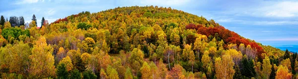 Autumn Panorama Cloudy Day Fantanele Village Sibiu County Romania — Stock Photo, Image