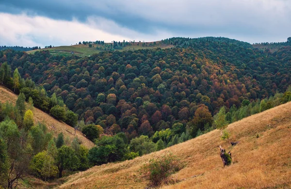 Paisagem Outono Colorida Nos Cárpatos Romenos Aldeia Fantanele Condado Sibiu — Fotografia de Stock