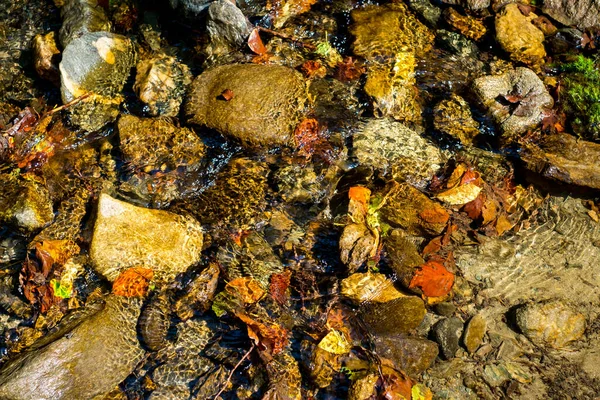 Agua Que Fluye Con Piedras Con Músculos Hojas Secas — Foto de Stock