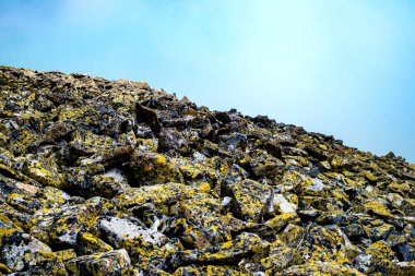 Romanya 'nın Retezat Ulusal Parkı' nda Lichenes taşıyla kaplı