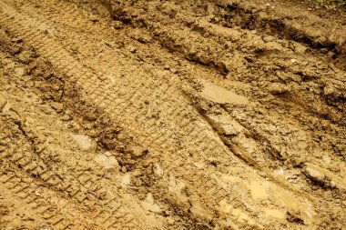 Çamurda araba izleri var.