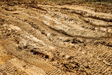 Çamurda araba izleri var.