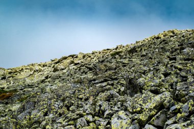 Romanya 'daki vahşi Retezat Milli Parkı manzarası