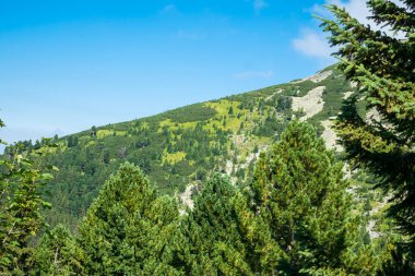 Romanya 'daki vahşi Retezat Milli Parkı manzarası