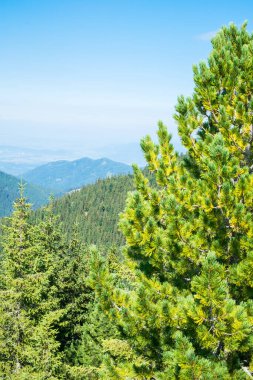 Romanya 'daki vahşi Retezat Milli Parkı manzarası
