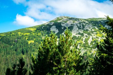 Romanya 'daki vahşi Retezat Milli Parkı manzarası