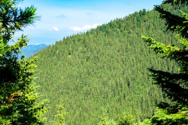 Romanya 'daki vahşi Retezat Milli Parkı manzarası