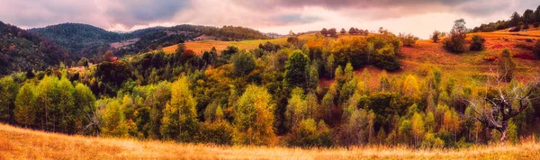 Rumänische Alte Schafstall Auf Der Spitze Des Hügels Der Herbstsaison — Stockfoto