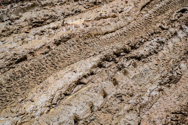 Çamurda Araba Izleri Var — Stok fotoğraf