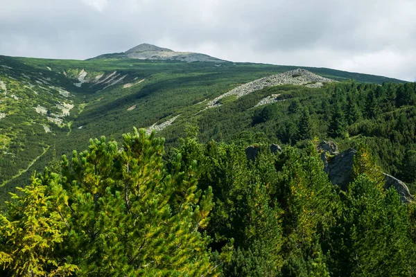 Vista Sobre Parque Nacional Retezat Salvaje Rumania —  Fotos de Stock