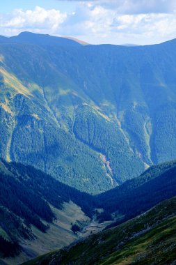 Romanya dağlarında güneşli bir gün, Fagaras, Sibiu ilçesi