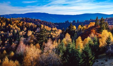Romanya dağlarındaki güzel sonbahar manzaraları, Fantanele köyü bölgesi, Sibiu ilçesi, Cindrel dağları, Romanya