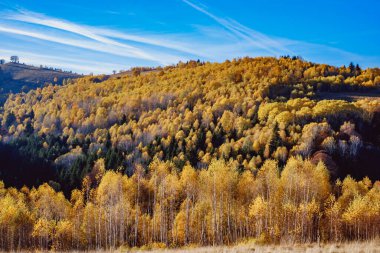 Romanya dağlarındaki güzel sonbahar manzaraları, Fantanele köyü bölgesi, Sibiu ilçesi, Cindrel dağları, Romanya