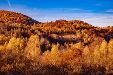 Romanya dağlarındaki güzel sonbahar manzaraları, Fantanele köyü bölgesi, Sibiu ilçesi, Cindrel dağları, Romanya