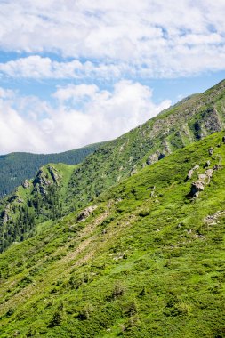 Fagaras Romen dağlarından güzel manzara, Suru zirvesi.