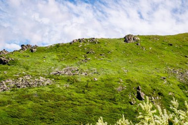 Fagaras Romen dağlarından güzel manzara, Suru zirvesi.