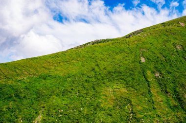 Fagaras Romen dağlarından güzel manzara, Suru zirvesi.