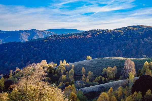 Красивые Осенние Пейзажи Румынских Горах Район Деревни Фантанеле Округ Сибиу — стоковое фото