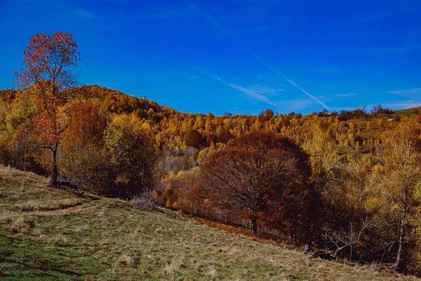 Прекрасні Осінні Краєвиди Румунських Гір Село Фантанеле Округ Сібіу Гори — стокове фото