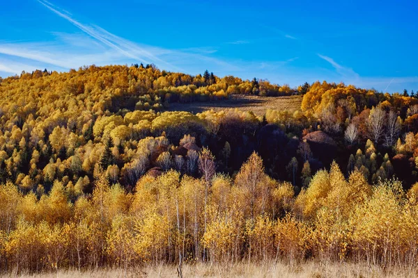 Schöne Herbstlandschaften Den Rumänischen Bergen Fantanele Dorfgebiet Sibiu County Cindrel — Stockfoto