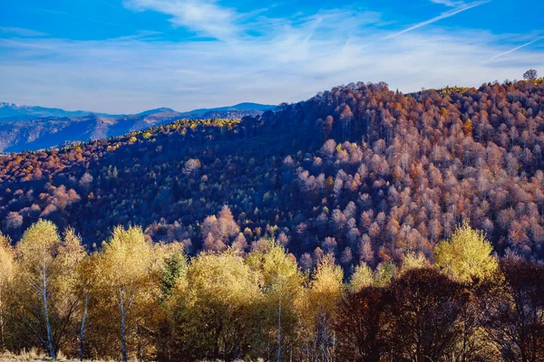 Schöne Herbstlandschaften Den Rumänischen Bergen Fantanele Dorfgebiet Sibiu County Cindrel — Stockfoto