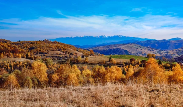 Beaux Paysages Automne Dans Les Montagnes Roumaines Région Village Fantanele — Photo