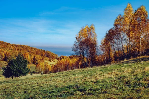 Gyönyörű Őszi Tájak Román Hegyekben Fantanele Falu Nagyszeben Megye Cindrel — Stock Fotó