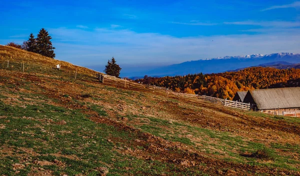 Romanya Dağlarındaki Güzel Sonbahar Manzaraları Fantanele Köyü Bölgesi Sibiu Ilçesi — Stok fotoğraf