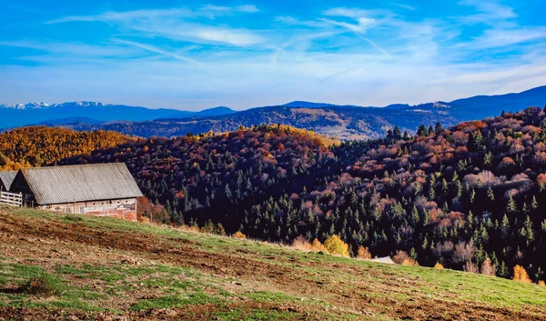 Прекрасні Осінні Краєвиди Румунських Гір Село Фантанеле Округ Сібіу Гори — стокове фото