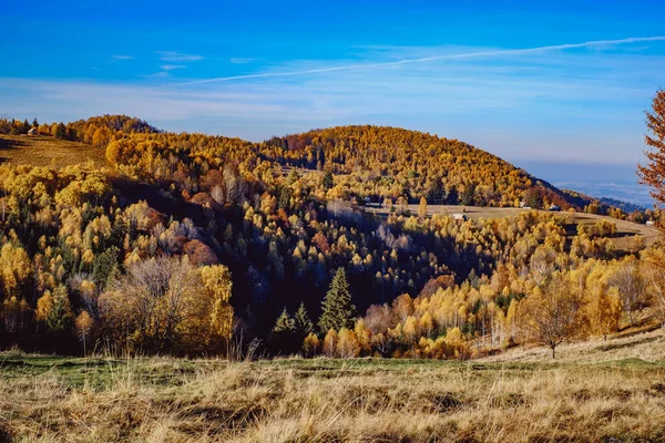 Gyönyörű Őszi Tájak Román Hegyekben Fantanele Falu Nagyszeben Megye Cindrel — Stock Fotó