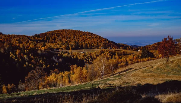 ルーマニアの山々 ファンタネレ村地域 シビウ郡 シンデレラ山 ルーマニアの美しい秋の風景 — ストック写真