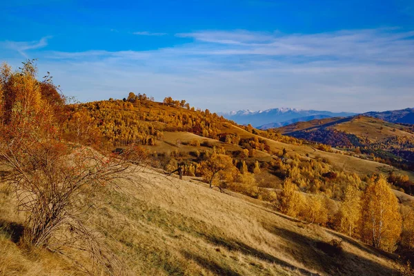 Beautiful Autumn Landscapes Romanian Mountains Fantanele Village Area Sibiu County — Stock Photo, Image