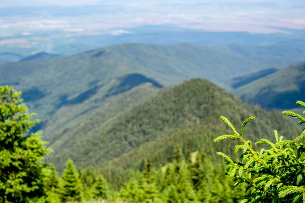 Bella Vista Dalle Montagne Rumene Fagaras Picco Suru — Foto Stock