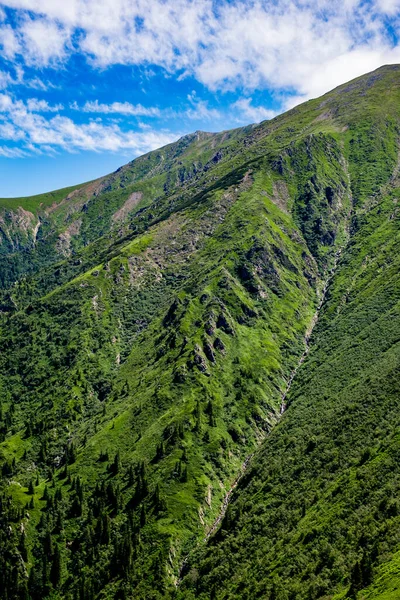 Красивый Вид Горы Фагарас Пик Суру — стоковое фото