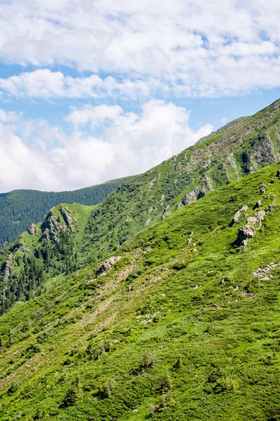 Hermosa Vista Desde Las Montañas Rumanas Fagaras Pico Suru —  Fotos de Stock