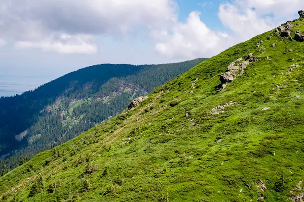 Bella Vista Dalle Montagne Rumene Fagaras Picco Suru — Foto Stock