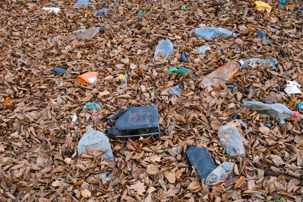 Dirty Plastic Glass Bottle Left Autumn Forest Plastic Waste Environment — Stock Photo, Image