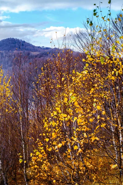 Herbstlandschaft Den Rumänischen Bergen — Stockfoto