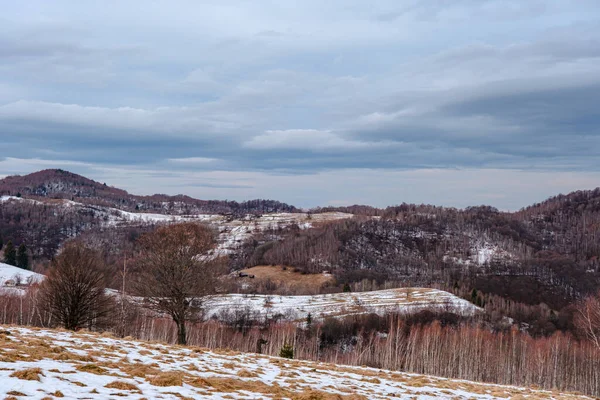 Bellissimi Paesaggi Invernali Nelle Montagne Rumene Zona Villaggio Fantanele Contea — Foto Stock