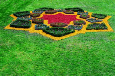 Çiçekli ve otlu bahçe.