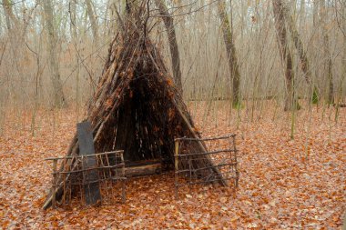 Ormandaki hayvanlar için dallardan yapılmış bir kulübe.