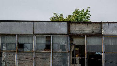 Çürümekte olan eski sanayi binası