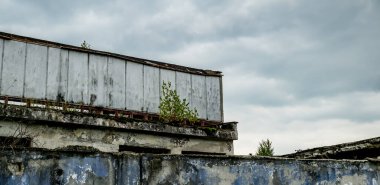 Çürümekte olan eski sanayi binası