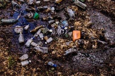 Ormanda bir gölü kirleten plastik şişeler.