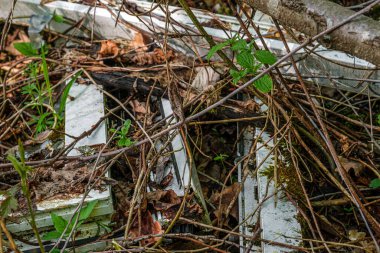 PVC pencere çerçeveleri doğada atıldı